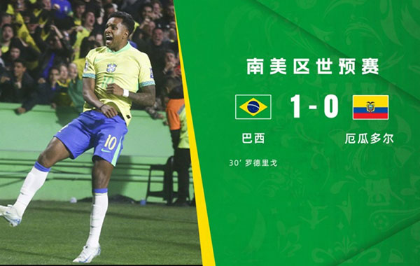 巴西  1 - 0  厄瓜多尔